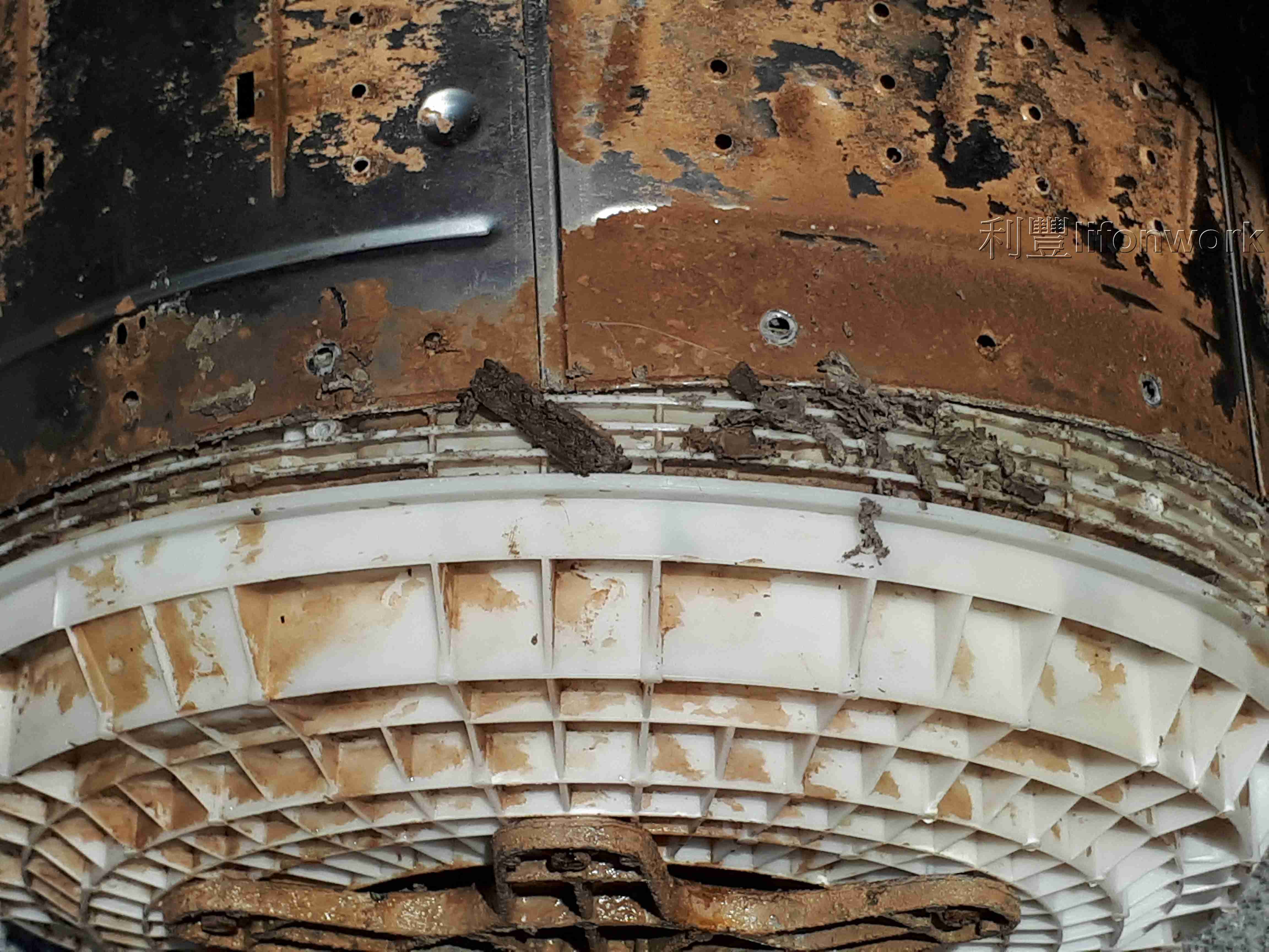 大高雄直立式洗衣機清潔