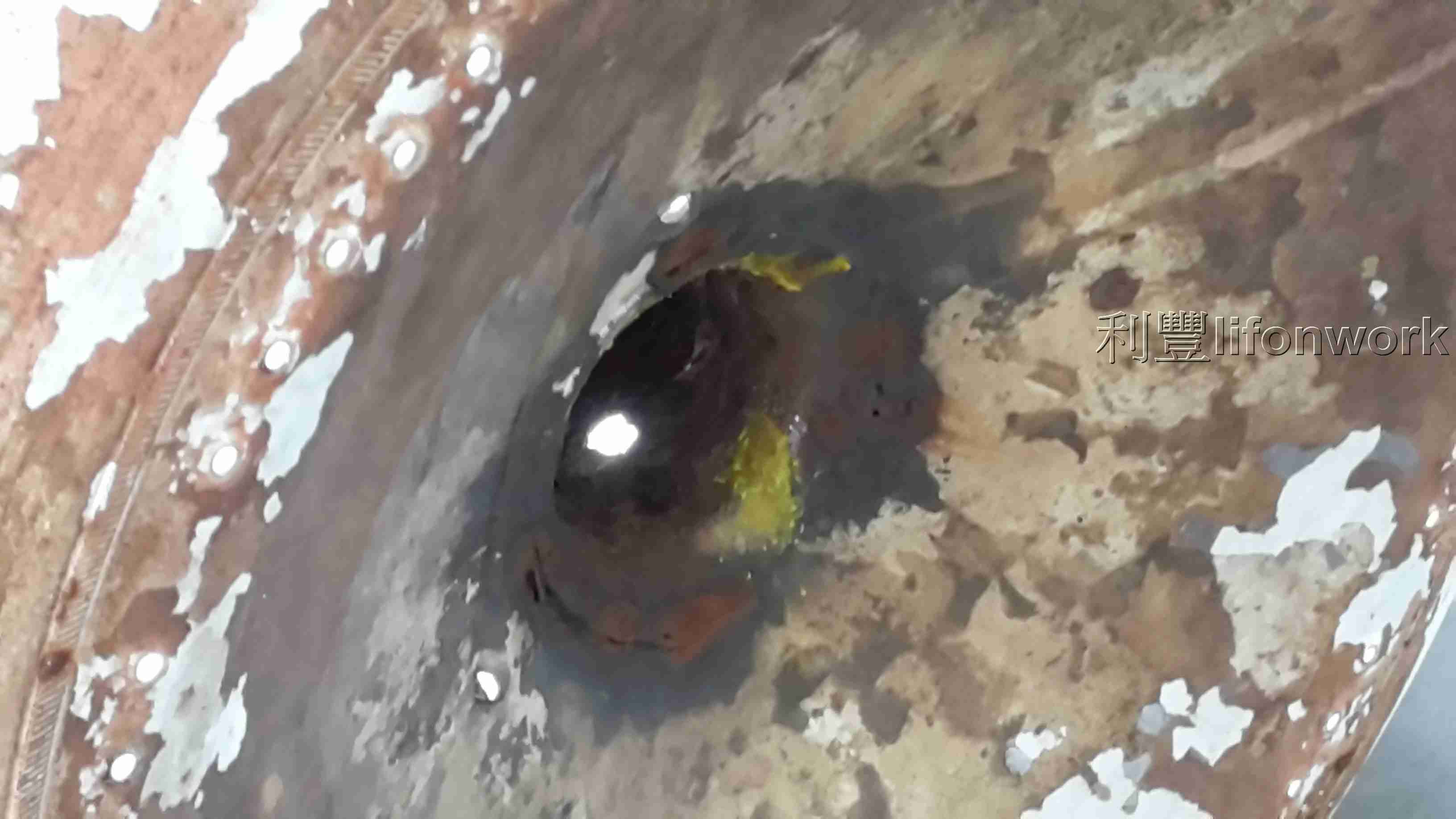 大高雄一般直立式清洗洗衣機