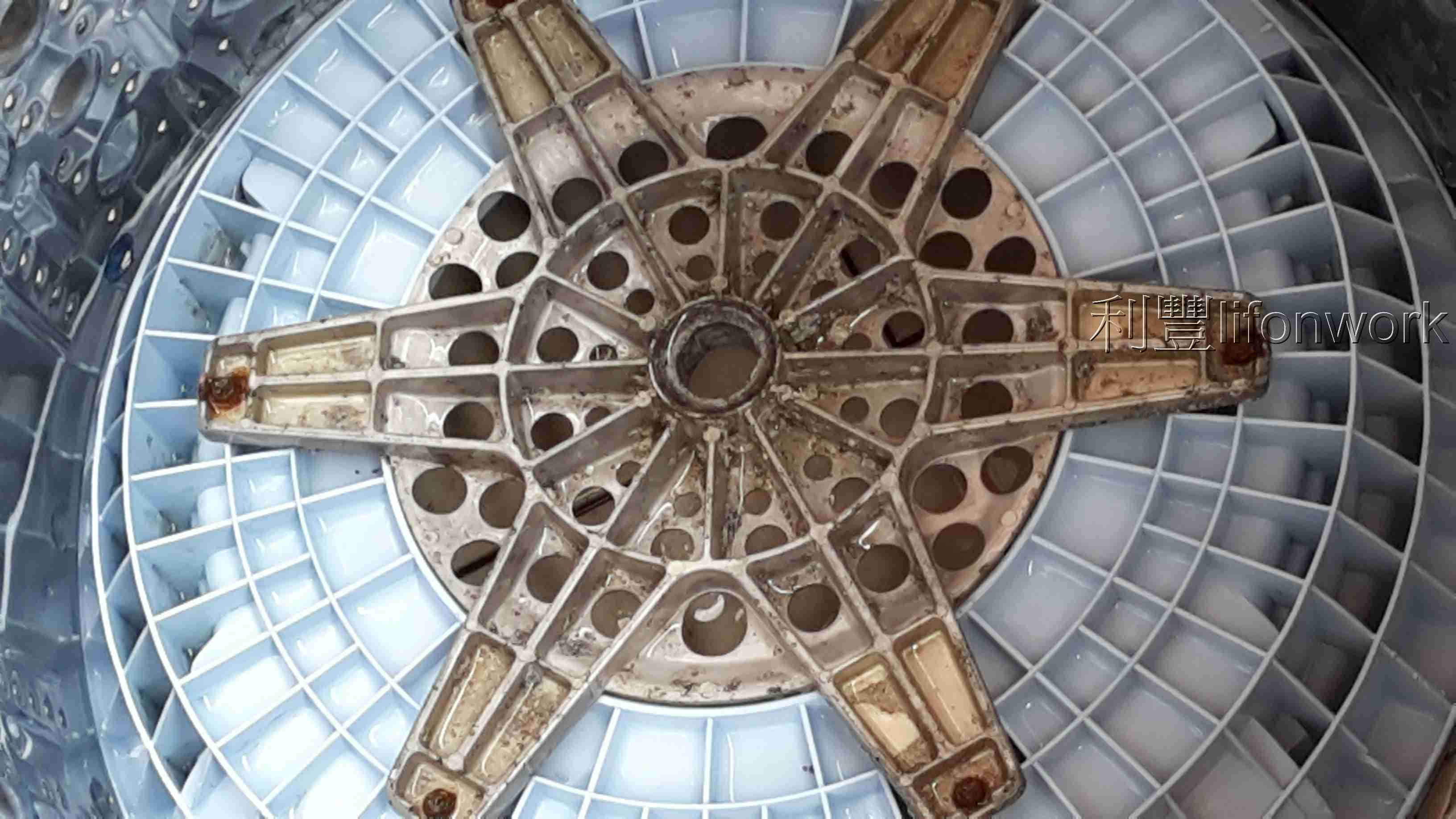 大高雄洗衣機拆洗推薦