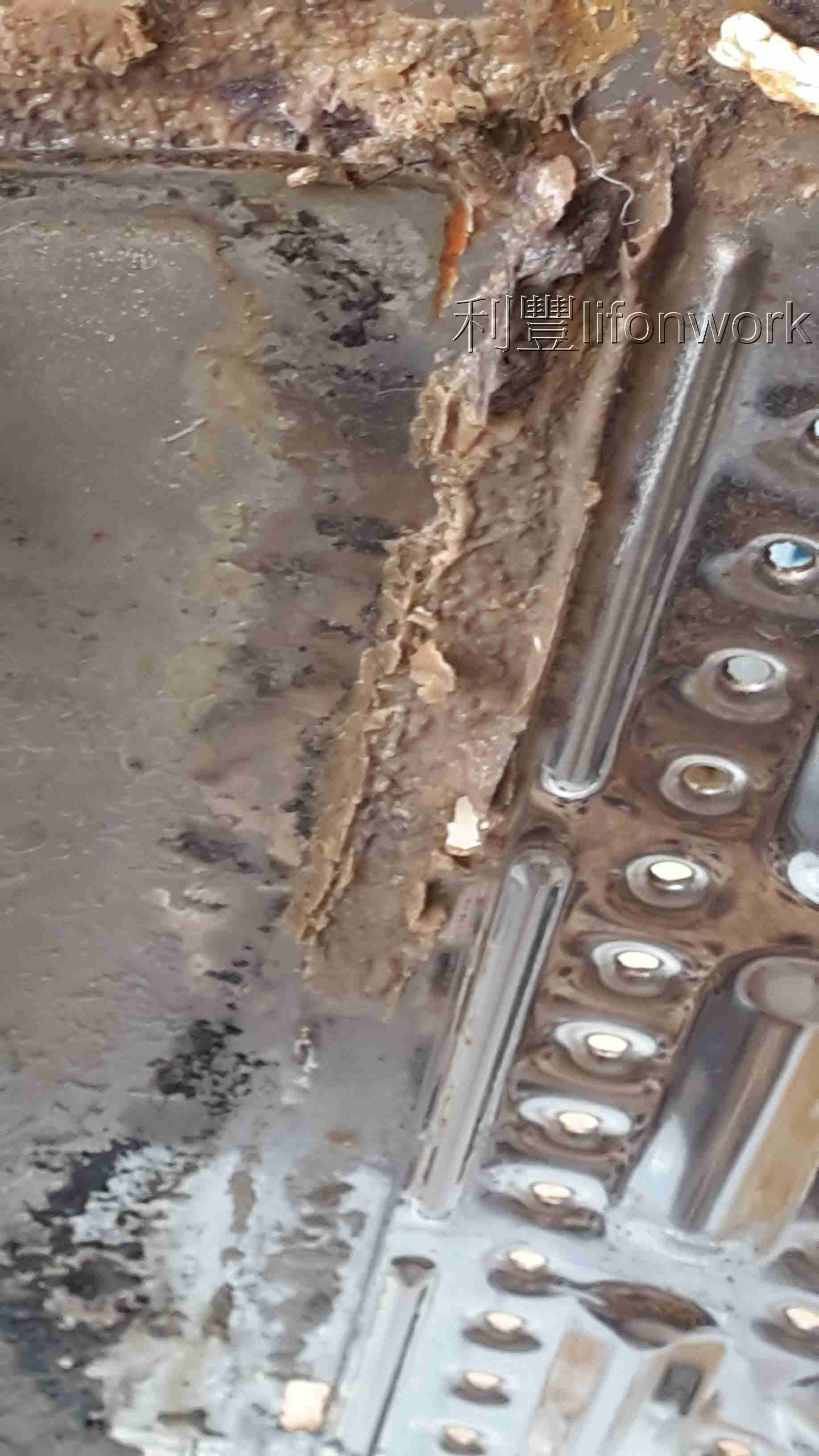 大高雄洗衣機拆洗體驗